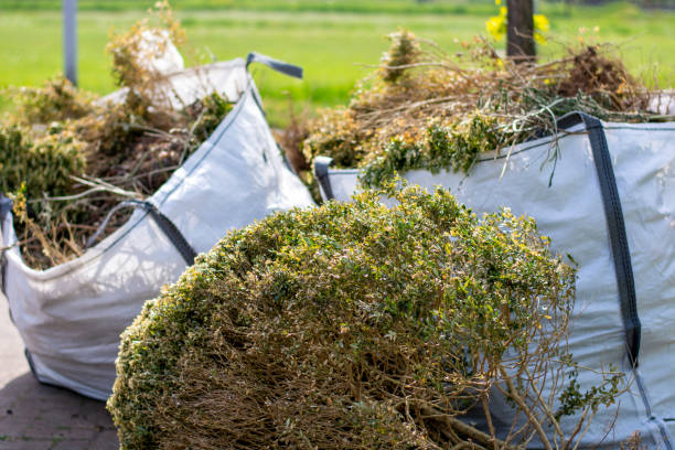 Best Commercial Cleanout Services  in Shenandoah Junction, WV